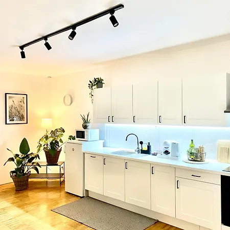 Spacious Near Center With Balcony And Garage Parking Apartment *