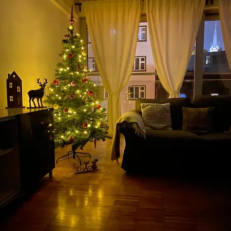 Spacious Near Center With Balcony And Garage Parking Appartement *